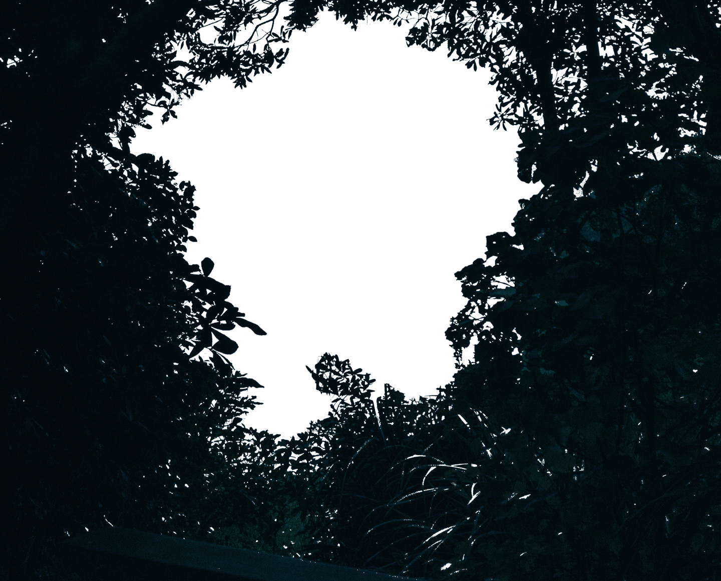 Total 45+ imagen background image zoom animation css codepen Thcshoanghoathambadinh.edu.vn